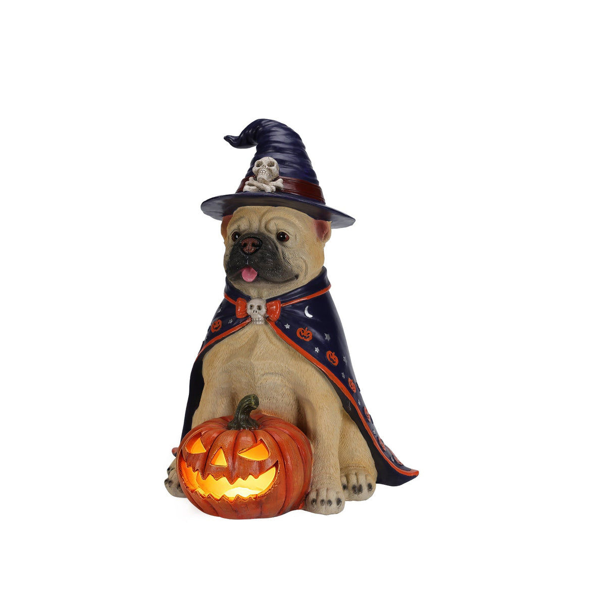 Halloween Bulldog Witch Statue with LED Light Up Jack-O-Lantern Pumpkin - Orange, Black, & Purple