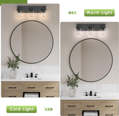 Vanity Light with Clear Glass Shade