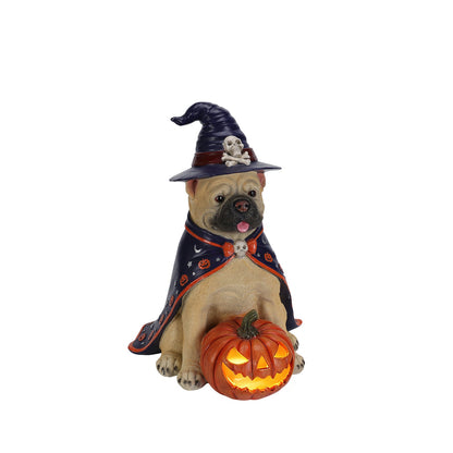 Halloween Bulldog Witch Statue with LED Light Up Jack-O-Lantern Pumpkin - Orange, Black, & Purple