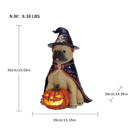 Halloween Bulldog Witch Statue with LED Light Up Jack-O-Lantern Pumpkin - Orange, Black, & Purple
