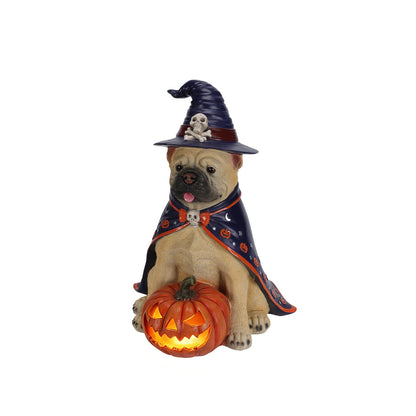 Halloween Bulldog Witch Statue with LED Light Up Jack-O-Lantern Pumpkin - Orange, Black, & Purple