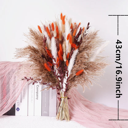 Dried Pampas Grass Decor 80-110 PCS