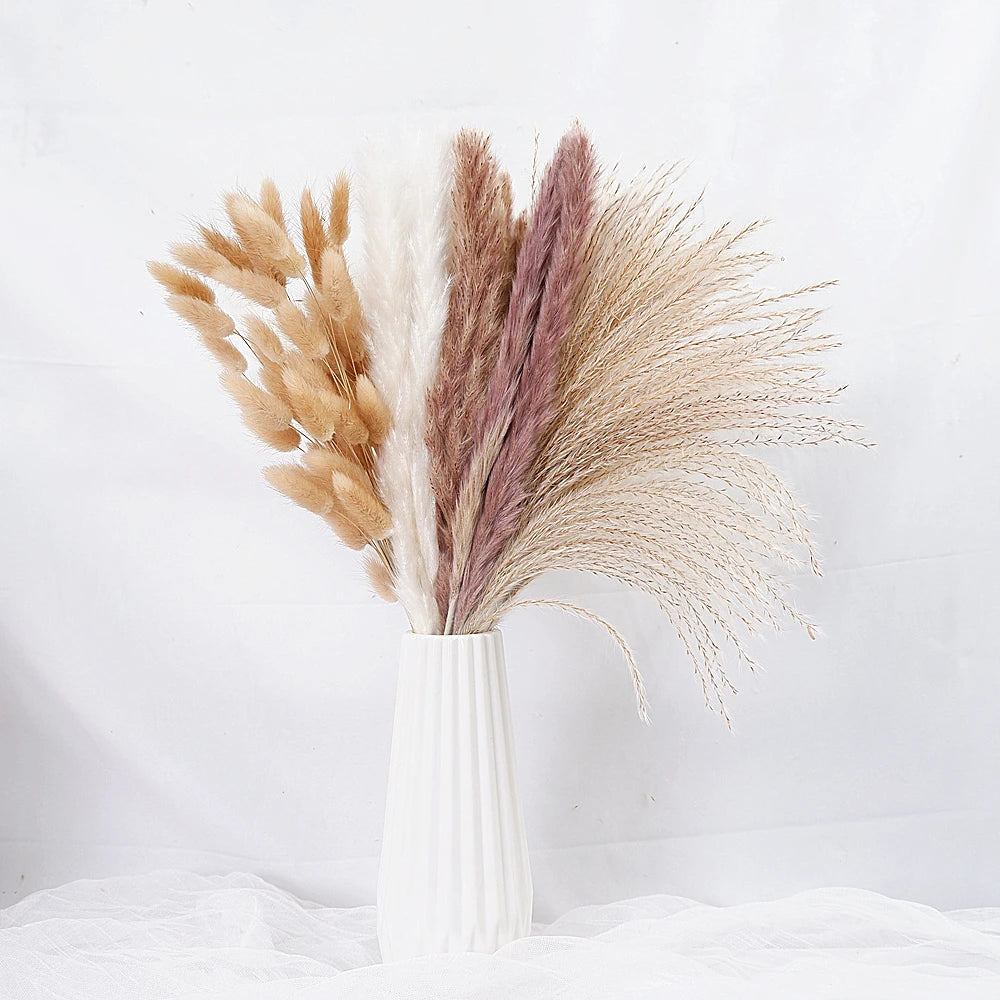 Dried Pampas Grass Decor 80-110 PCS
