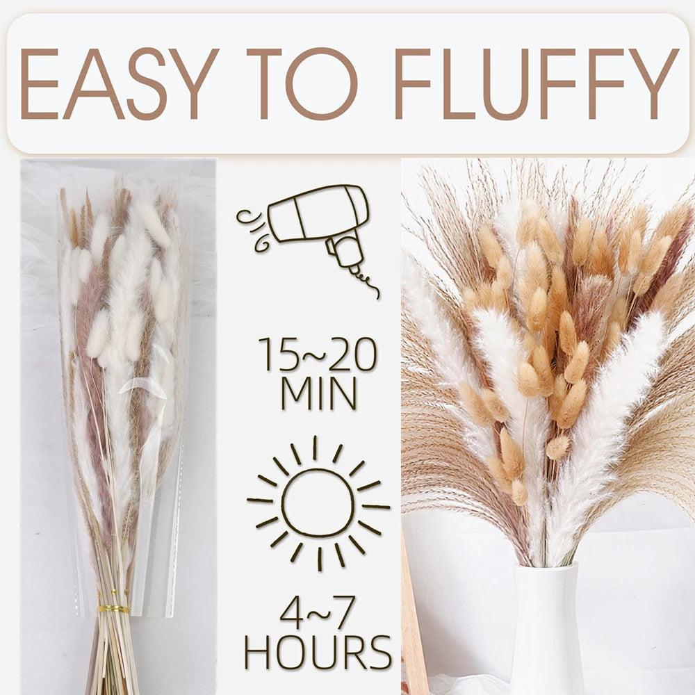 Dried Pampas Grass Decor 80-110 PCS