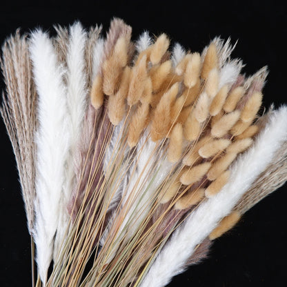 Dried Pampas Grass Decor 80-110 PCS