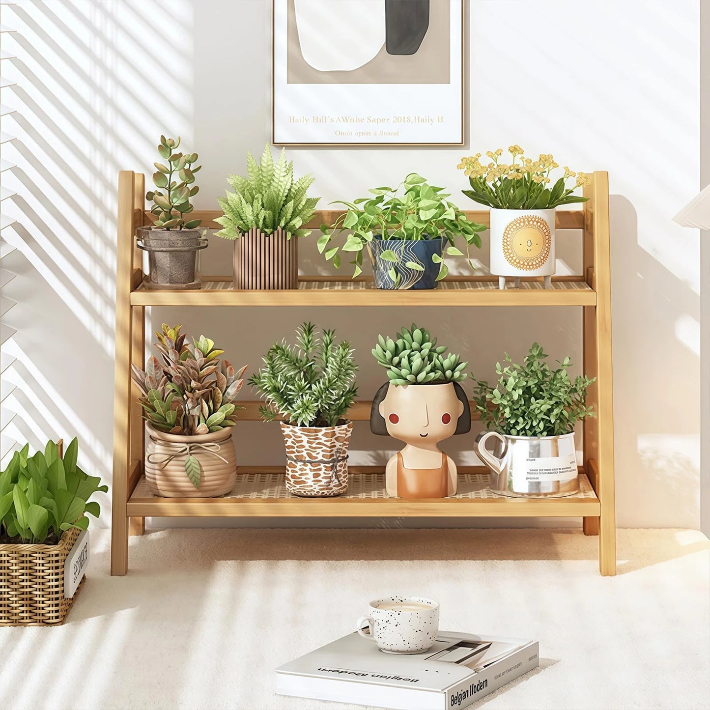 Double Layer Desktop Organizer Shelf