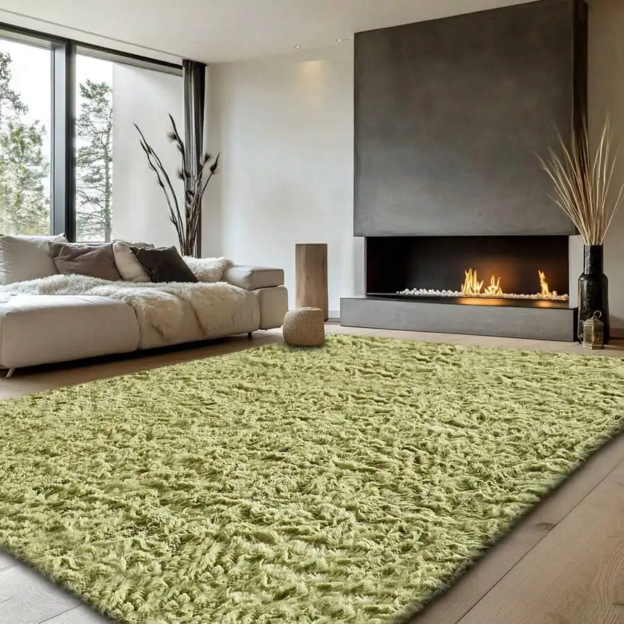 Soft Fuzzy Indoor Carpet