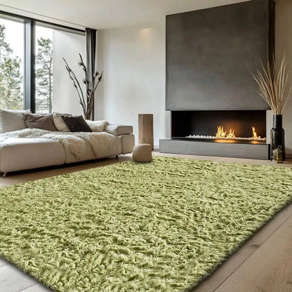 Soft Fuzzy Indoor Carpet