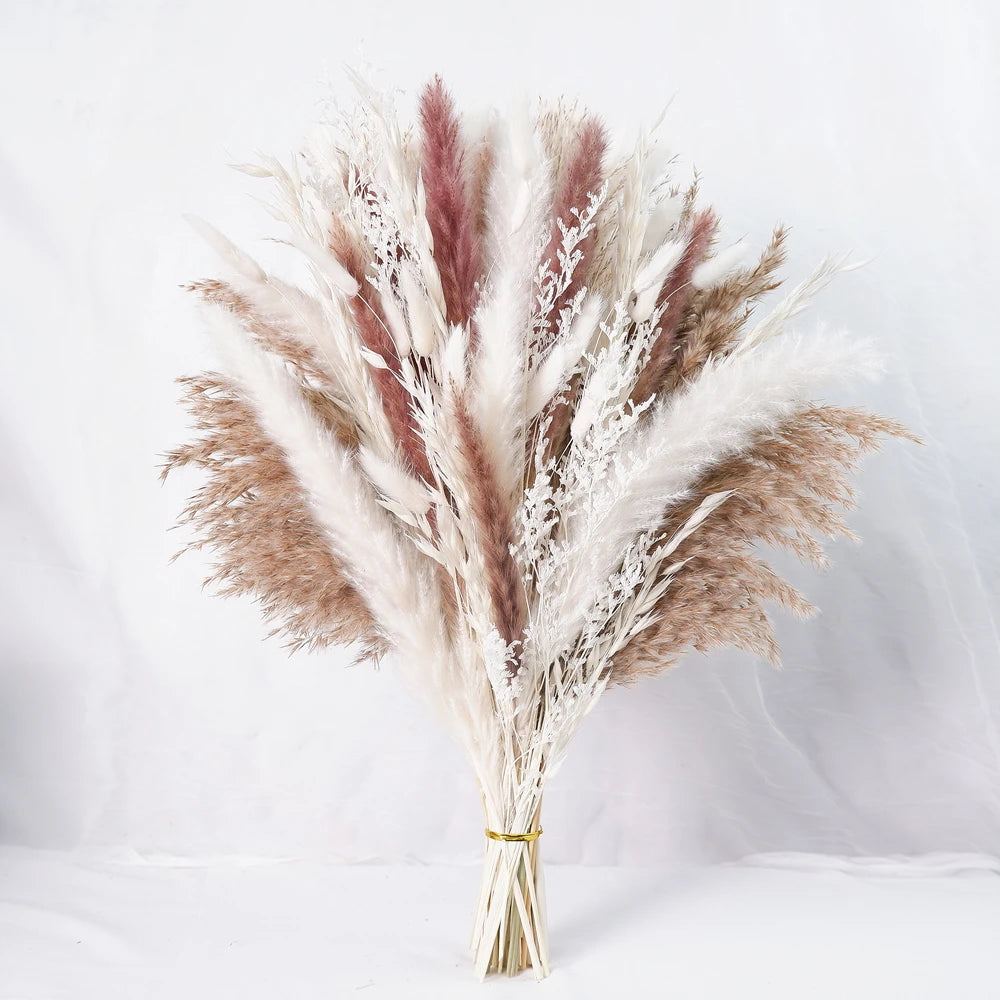 Dried Pampas Grass Decor 80-110 PCS