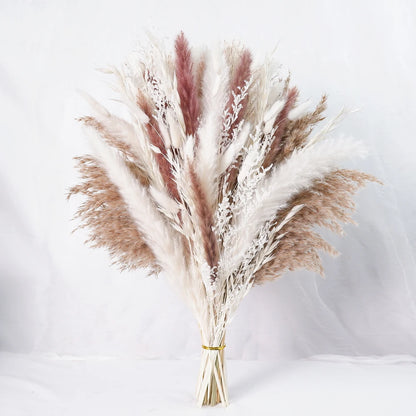 Dried Pampas Grass Decor 80-110 PCS