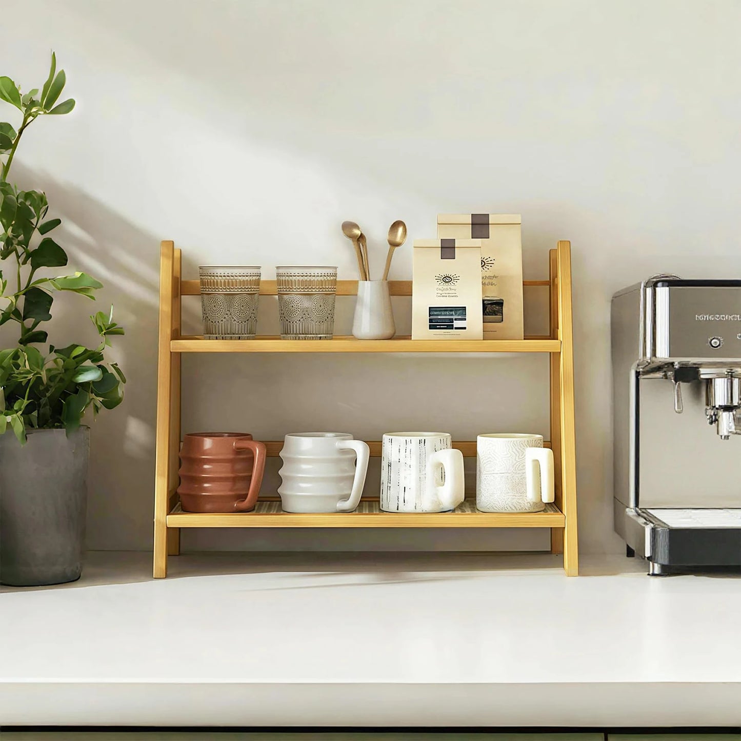 Double Layer Desktop Organizer Shelf