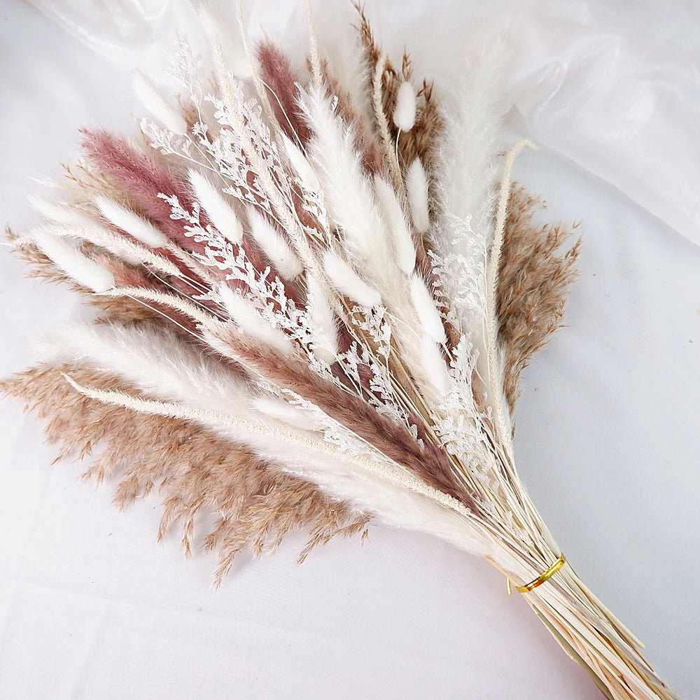 Dried Pampas Grass Decor 80-110 PCS