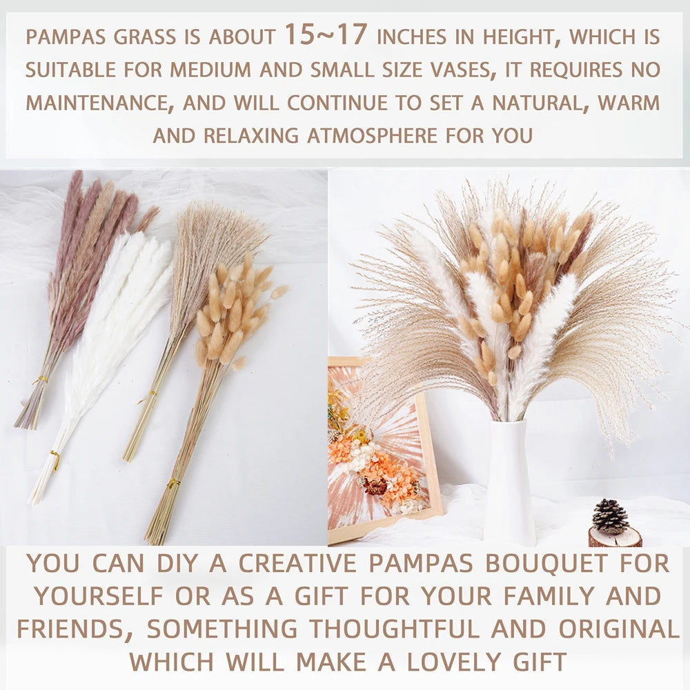 Dried Pampas Grass Decor 80-110 PCS