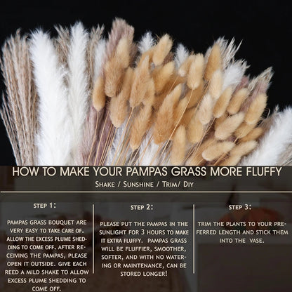 Dried Pampas Grass Decor 80-110 PCS